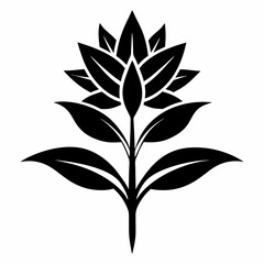 black and white flower