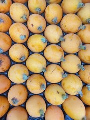 Fresh loquat arrangement featuring eriobotrya japonica for food design and culinary inspiration....