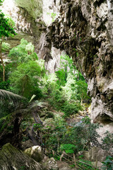 Water stream flowing among the trees with cave wall in rain season. View of Trail way at Tham Than Lot Yai, Chaloem Rattanakosin National Park, Kanchanaburi Province,Thailand.Vertical.
