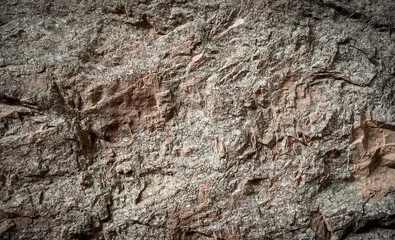 Brown grey stone wall on cave surface for abstract background and texture. Template for design, natural patterns, space for work, banner,seamless wallpaper, close up.