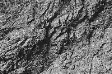 Empty grey stone wall on cave surface for abstract background and texture. Template for design, natural patterns, space for work, banner,seamless wallpaper, close up.