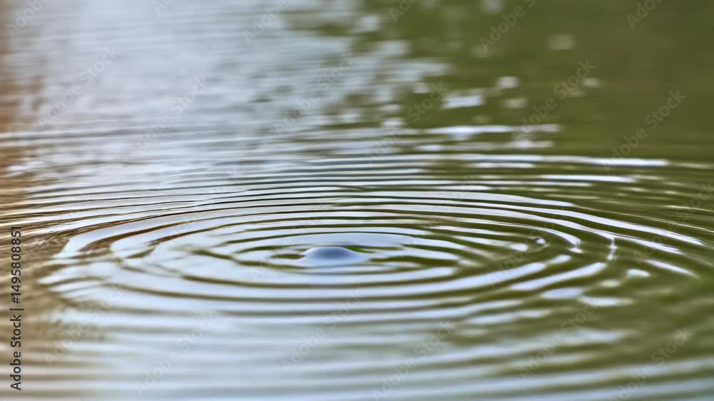 Poster close up of a small round rock breaking the smooth surface of a lake causing concentric ripples outw