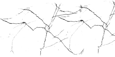 Abstract black crackle texture on white background high resolution image for design projects