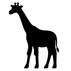 Fototapeta premium Giraffe in Silhouette with Long Neck and Distinctive Ossicones