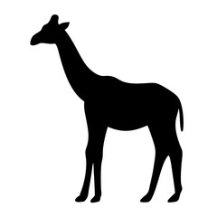 Silhouette of a Majestic Giraffe Standing Tall Against a White Background