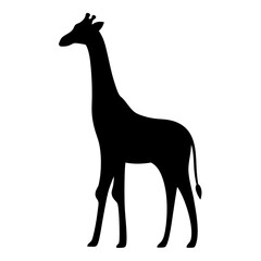 Silhouette of a Tall and Elegant Giraffe Standing Proudly Against White Background