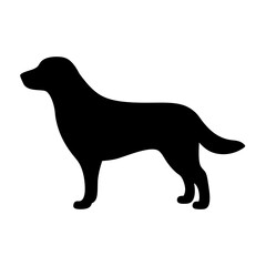 Silhouette of a Standing Labrador Retriever on a White Background Illustration