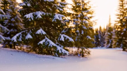 Snowy winter landscape with evergreen trees glistening in the sunlight during a light snowfall, focus on gently falling snow. - Powered by Adobe