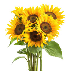 A vibrant bouquet of sunflowers with bright yellow petals and green leaves