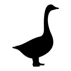 Elegant swan or goose silhouette standing gracefully on a white background