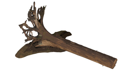Fototapeta premium Uprooted tree