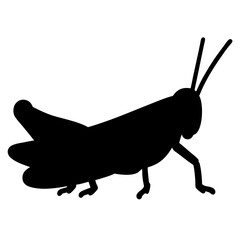 Silhouette of a grasshopper standing, with prominent antennae and detailed legs