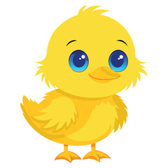 A small, fluffy yellow duckling with big blue eyes and an orange bill stands facing forward with white background