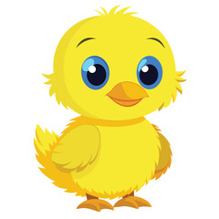 A small, fluffy yellow duckling with big blue eyes and an orange bill stands facing forward with white background