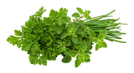 Obraz premium Close up of fresh herbs including parsley chives and oregano on a black background studio shot