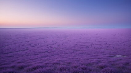 Flat landscape featuring natural purple scenery