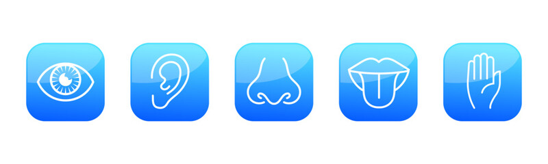 Vector illustration line icon set of five human senses. Vision, hearing, smell, taste, touch isolated on white background. Design eye, ear, nose, mouth with tongue and hand 