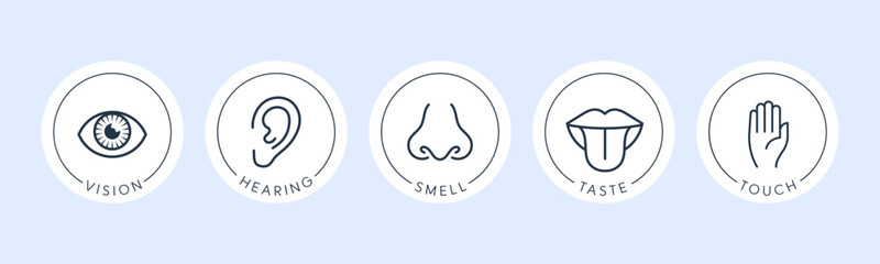 Vector illustration line icon set of five human senses. Vision, hearing, smell, taste, touch isolated on white background. Design eye, ear, nose, mouth with tongue and hand 