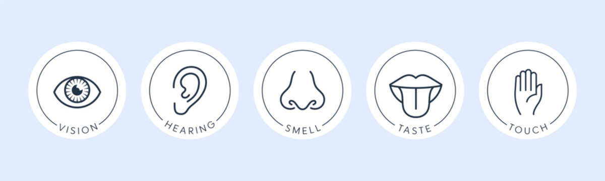Vector illustration line icon set of five human senses. Vision, hearing, smell, taste, touch isolated on white background. Design eye, ear, nose, mouth with tongue and hand 