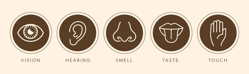 Vector illustration line icon set of five human senses. Vision, hearing, smell, taste, touch isolated on white background. Design eye, ear, nose, mouth with tongue and hand 