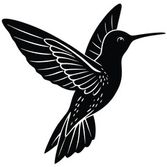 Obraz premium Elegant Hummingbird in Flight Black and White Illustration