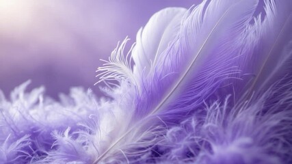 Close-up of Feathers - Abstract Soft Fluffy Texture Background - Color Trends for Wallpaper Design.