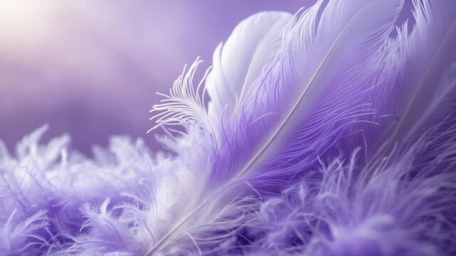 Close-up of Feathers - Abstract Soft Fluffy Texture Background - Color Trends for Wallpaper Design.