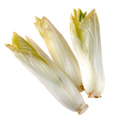 Freshly harvested endives arranged on a white background, showcasing their crisp texture