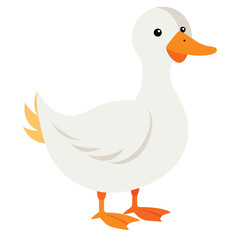 A white duck with an orange bill and feet stands looking to the left with white background