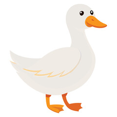 A white duck with an orange bill and feet stands looking to the left with white background