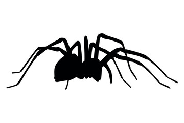 Black silhouette of a large spider with long legs spread wide against a white background