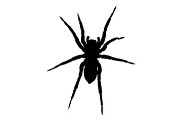 Vector art of Black silhouette of a spider isolated on white background