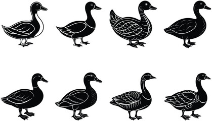 set of  different duck silhouette silhouette