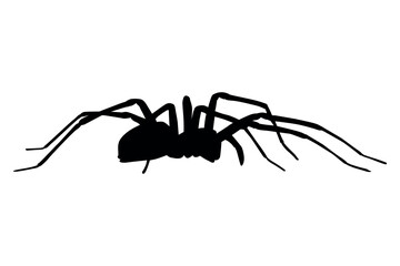 Vector art of Black spider silhouette isolated on white background