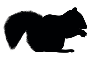 Vector art of Squirrel silhouette isolated on white background