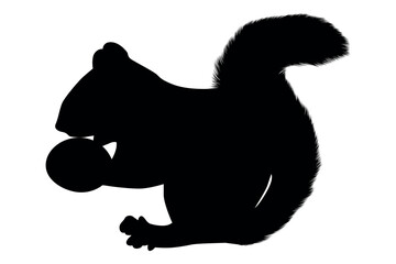 Vector art of Silhouette of a squirrel holding a nut isolated on transparent background
