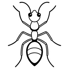 Ant line art icon on white background.