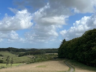 country road in the countryside