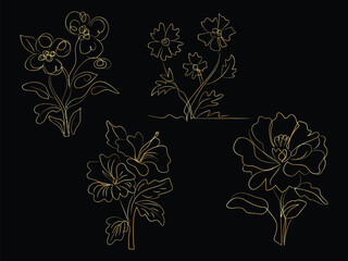 vector floral ornament
