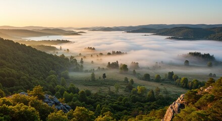 Naklejka premium Misty valley at dawn