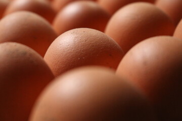 eggs closeup
