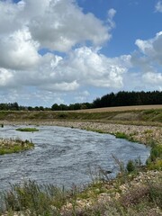 the river in the summer
