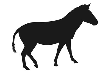 Obraz premium Zebra black silhouette isolated on white background, vector eps 10