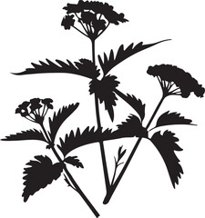 Silhouette of Wildflowers with Detailed Leaves and Blooms