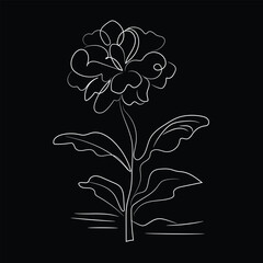 black and white flowers