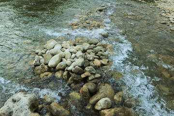 River Rocks and Flowing Water: Smooth river rocks create a natural dam in a shallow stream, where water flows gently around and over them, forming small rapids. 