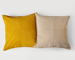Two decorative pillows lying on white background