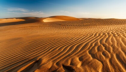 closeup of sand of a beach or a desert