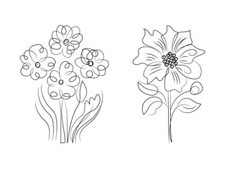 hand drawn flower