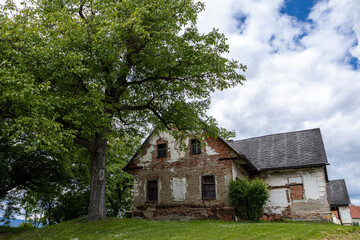 Abandoned Rustic House in Countryside. A dilapidated house surrounded by lush greenery and a large tree under a cloudy sky.